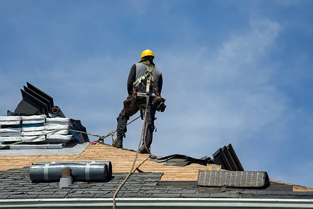 Professional Gutter Installation technician working in Talbott, TN